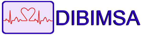 dibimsa.com